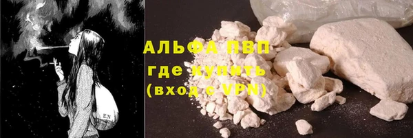 apvp Вяземский