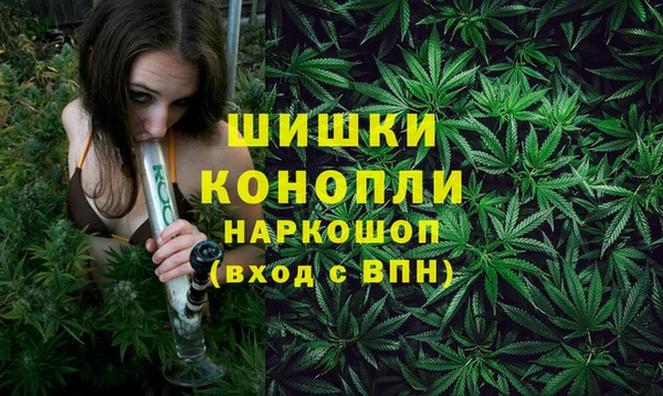 apvp Вяземский