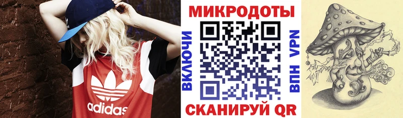Псилоцибиновые грибы GOLDEN TEACHER  Гаврилов-Ям 
